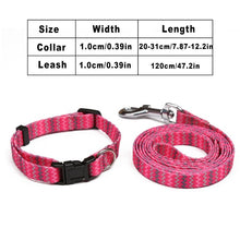 Load image into Gallery viewer, 120cm Small Pet Dog Nylon Leash Collar Set Adjustable Quick Release Cat Necklace Leashes Sets for Puppy Cats Pet Outdoor Bulldog