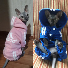 Load image into Gallery viewer, Cute Cat Sweater Hoodie Winter Warm Pet Clothes for Cats Sphinx Katten Clothing Outfit Kedi Giyim Pets Products