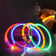 Load image into Gallery viewer, Dog Safety LED Collar USB Charging LED Tube Flashing Night Collars Luminous Necklace Puppy Cats Dogs Dark Decoration Supplies