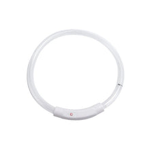 Load image into Gallery viewer, Dog Safety LED Collar USB Charging LED Tube Flashing Night Collars Luminous Necklace Puppy Cats Dogs Dark Decoration Supplies