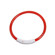 Load image into Gallery viewer, Dog Safety LED Collar USB Charging LED Tube Flashing Night Collars Luminous Necklace Puppy Cats Dogs Dark Decoration Supplies