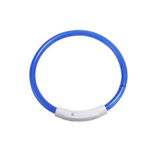 Load image into Gallery viewer, Dog Safety LED Collar USB Charging LED Tube Flashing Night Collars Luminous Necklace Puppy Cats Dogs Dark Decoration Supplies