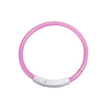 Load image into Gallery viewer, Dog Safety LED Collar USB Charging LED Tube Flashing Night Collars Luminous Necklace Puppy Cats Dogs Dark Decoration Supplies