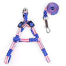 Load image into Gallery viewer, Pet Dog Harness Adjustable Pet Leashes Puppy Collar for Small Dogs Cat Harness Medium Dog Accessories Outdoor Walk Arnes Perro