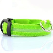 Load image into Gallery viewer, 2.5cm Wide XS-XL Nylon Pet Dog Collar LED Light Night Safety Glowing Pet Supplies Cat LED Dog Collar For Small Dogs LED Collars