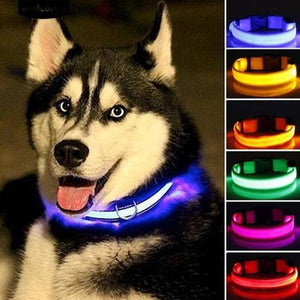 LED Pet Cat Dog Collar Night Safety Flashing Necklaces Dogs Luminous Fluorescent dog harness Pet Supplies for Outdoor Walking