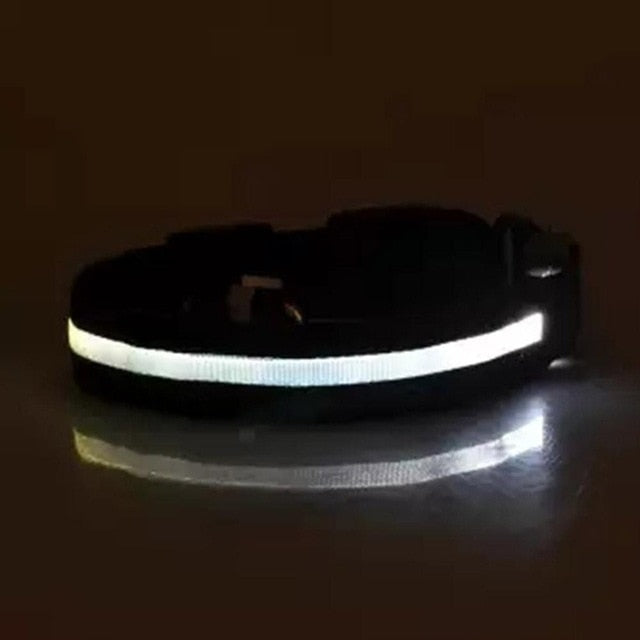 LED Pet Cat Dog Collar Night Safety Flashing Necklaces Dogs Luminous Fluorescent dog harness Pet Supplies for Outdoor Walking