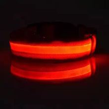 Load image into Gallery viewer, LED Pet Cat Dog Collar Night Safety Flashing Necklaces Dogs Luminous Fluorescent dog harness Pet Supplies for Outdoor Walking
