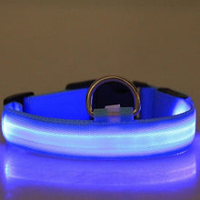 Load image into Gallery viewer, LED Pet Cat Dog Collar Night Safety Flashing Necklaces Dogs Luminous Fluorescent dog harness Pet Supplies for Outdoor Walking
