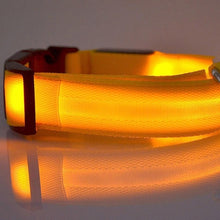 Load image into Gallery viewer, LED Pet Cat Dog Collar Night Safety Flashing Necklaces Dogs Luminous Fluorescent dog harness Pet Supplies for Outdoor Walking
