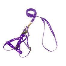 Load image into Gallery viewer, New Pet leash portable adjustable cat dog collar polyester printing durable belt chest strap training walking belt pet supplies
