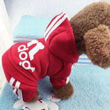 Load image into Gallery viewer, Cute Cat Sweater Hoodie Winter Warm Pet Clothes for Cats Sphinx Katten Clothing Outfit  Kedi Giyim Pets Products
