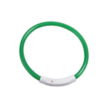 Load image into Gallery viewer, Dog Safety LED Collar USB Charging LED Tube Flashing Night Collars Luminous Necklace Puppy Cats Dogs Dark Decoration Supplies
