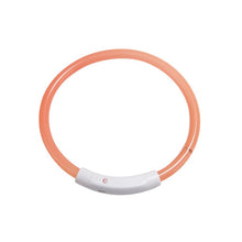 Load image into Gallery viewer, Dog Safety LED Collar USB Charging LED Tube Flashing Night Collars Luminous Necklace Puppy Cats Dogs Dark Decoration Supplies
