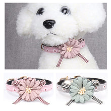 Load image into Gallery viewer, Fabric Flower Leather Dog Collar Pet Cat Bow Tie Lovely Neck Strap Blue Pink Bowknot Cute for Small Middle Chihuahua Teddy
