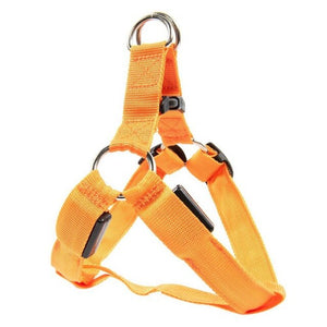 Rechargeable LED Nylon Pet Dog Cat Harness Led Flashing Light Harness Collar Safety Pet Leds Leash Rope Belt Dog Accessories