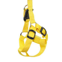 Load image into Gallery viewer, Rechargeable LED Nylon Pet Dog Cat Harness Led Flashing Light Harness Collar Safety Pet Leds Leash Rope Belt Dog Accessories
