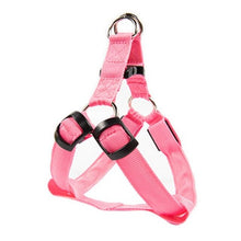 Load image into Gallery viewer, Rechargeable LED Nylon Pet Dog Cat Harness Led Flashing Light Harness Collar Safety Pet Leds Leash Rope Belt Dog Accessories
