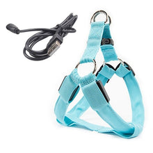 Load image into Gallery viewer, Rechargeable LED Nylon Pet Dog Cat Harness Led Flashing Light Harness Collar Safety Pet Leds Leash Rope Belt Dog Accessories
