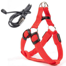 Load image into Gallery viewer, Rechargeable LED Nylon Pet Dog Cat Harness Led Flashing Light Harness Collar Safety Pet Leds Leash Rope Belt Dog Accessories
