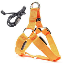 Load image into Gallery viewer, Rechargeable LED Nylon Pet Dog Cat Harness Led Flashing Light Harness Collar Safety Pet Leds Leash Rope Belt Dog Accessories
