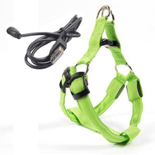 Load image into Gallery viewer, Rechargeable LED Nylon Pet Dog Cat Harness Led Flashing Light Harness Collar Safety Pet Leds Leash Rope Belt Dog Accessories

