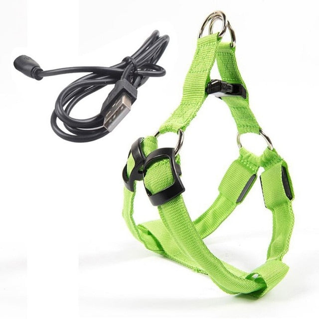 Rechargeable LED Nylon Pet Dog Cat Harness Led Flashing Light Harness Collar Safety Pet Leds Leash Rope Belt Dog Accessories