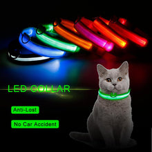 Load image into Gallery viewer, Fashion Pet Dogs Puppy Nylon Glow In The Dark LED Glowing Leashes For Cats Kitten Dog Supplies Pet Products Dropshipping TSLM1
