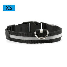 Load image into Gallery viewer, Fashion Pet Dogs Puppy Nylon Glow In The Dark LED Glowing Leashes For Cats Kitten Dog Supplies Pet Products Dropshipping TSLM1
