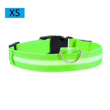 Load image into Gallery viewer, Fashion Pet Dogs Puppy Nylon Glow In The Dark LED Glowing Leashes For Cats Kitten Dog Supplies Pet Products Dropshipping TSLM1
