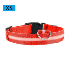 Load image into Gallery viewer, Fashion Pet Dogs Puppy Nylon Glow In The Dark LED Glowing Leashes For Cats Kitten Dog Supplies Pet Products Dropshipping TSLM1
