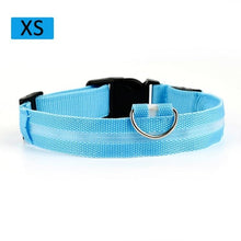 Load image into Gallery viewer, Fashion Pet Dogs Puppy Nylon Glow In The Dark LED Glowing Leashes For Cats Kitten Dog Supplies Pet Products Dropshipping TSLM1
