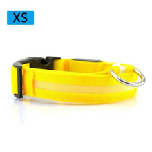Load image into Gallery viewer, Fashion Pet Dogs Puppy Nylon Glow In The Dark LED Glowing Leashes For Cats Kitten Dog Supplies Pet Products Dropshipping TSLM1
