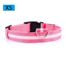Load image into Gallery viewer, Fashion Pet Dogs Puppy Nylon Glow In The Dark LED Glowing Leashes For Cats Kitten Dog Supplies Pet Products Dropshipping TSLM1
