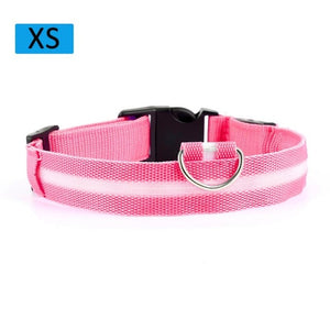 Fashion Pet Dogs Puppy Nylon Glow In The Dark LED Glowing Leashes For Cats Kitten Dog Supplies Pet Products Dropshipping TSLM1