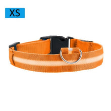 Load image into Gallery viewer, Fashion Pet Dogs Puppy Nylon Glow In The Dark LED Glowing Leashes For Cats Kitten Dog Supplies Pet Products Dropshipping TSLM1
