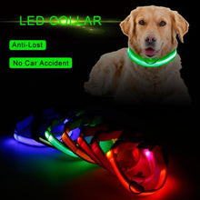 Load image into Gallery viewer, Fashion Pet Dogs Puppy Nylon Glow In The Dark LED Glowing Leashes For Cats Kitten Dog Supplies Pet Products Dropshipping TSLM1
