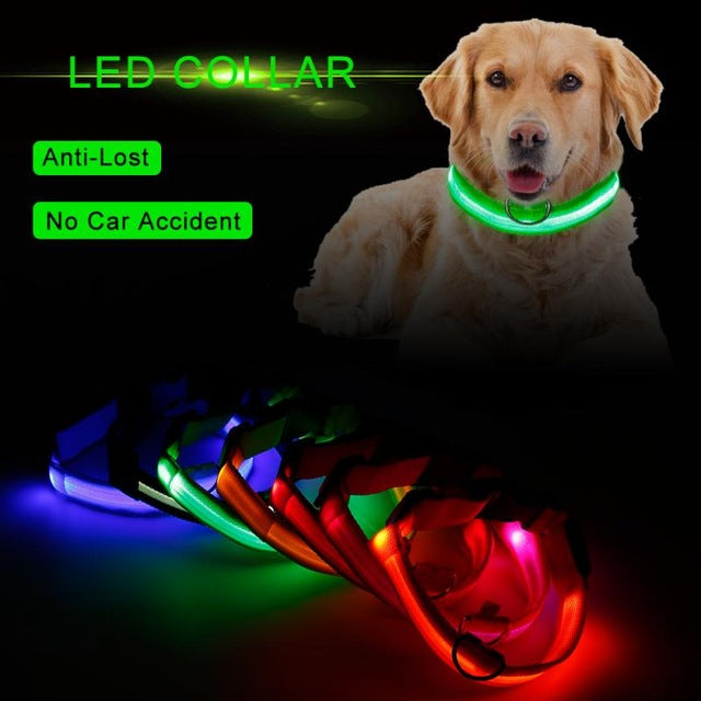 Fashion Pet Dogs Puppy Nylon Glow In The Dark LED Glowing Leashes For Cats Kitten Dog Supplies Pet Products Dropshipping TSLM1