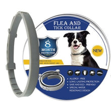 Load image into Gallery viewer, 2019 New  8 Month Flea &amp; Tick Prevention Collar for Cats dog Mosquitoes Repellent Collar Insect Mosquitoes
