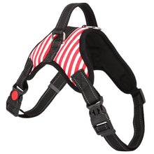 Load image into Gallery viewer, Pets Dog Harness Vest Reflective Tape Breathable Mesh Dog Cat Harness Pet Adjustable Dog Collar Accessories
