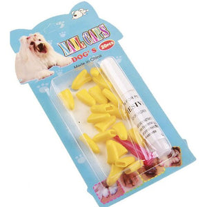 20 Pcs Silicone Soft Cat Dog Nail Caps Cat Paw Care Pet Nail Protector Cat Nail Cover Paws Protection Pet Accessories Free Glue