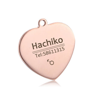 YVYOO Free engraving Stainless steel Pet cat collar accessories customized dog cat ID tag name telephone Multiple languages AA08