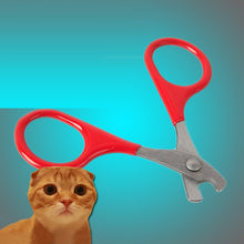 Load image into Gallery viewer, Pet Cat Claw Care Tools Cat Scissors For Nails Pet Supplies Accessories Cat Cleaning Tools For Claw Nails Scissor Pet Products
