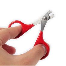 Load image into Gallery viewer, Pet Cat Claw Care Tools Cat Scissors For Nails Pet Supplies Accessories Cat Cleaning Tools For Claw Nails Scissor Pet Products
