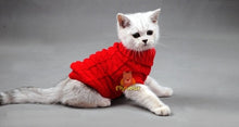 Load image into Gallery viewer, NEW Dog Cat Sweater Sphinx Cat Coat Spagetti Warm Autumn Winter  Pet Jumper Cat Clothes For Small Cat Dog Pets
