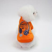 Load image into Gallery viewer, Pet Clothing for Cat Clothes for Cats Warm Clothes for Small Cats Clothing Chihuahua Costume Cat Coats Jackets Pet Product 45 A1
