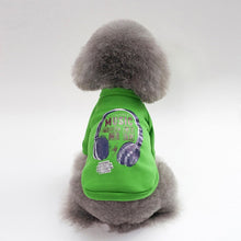 Load image into Gallery viewer, Pet Clothing for Cat Clothes for Cats Warm Clothes for Small Cats Clothing Chihuahua Costume Cat Coats Jackets Pet Product 45 A1
