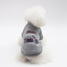 Load image into Gallery viewer, Pet Clothing for Cat Clothes for Cats Warm Clothes for Small Cats Clothing Chihuahua Costume Cat Coats Jackets Pet Product 45 A1
