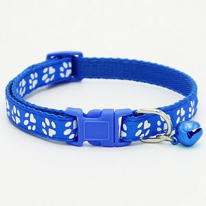 Customized Dogs Collars Harnesses Dog Sheet Personalized Dogs ID Tag Cats Collar Dog Name Phone Pet Product3