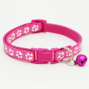 Customized Dogs Collars Harnesses Dog Sheet Personalized Dogs ID Tag Cats Collar Dog Name Phone Pet Product3